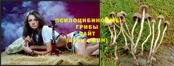 spice Арсеньев